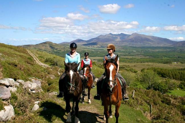 Tatler Jack Bed & Breakfast Killarney Luaran gambar
